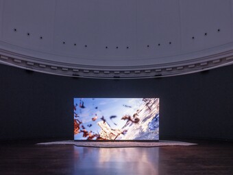 Installationsansicht der Ausstellung The Ephemeral Lake – Eine digitale Installation von Jakob Kudsk Steensen, 12. April bis 27. Oktober 2024, Hamburger Kunsthalle © Courtesy the artist © Hamburger Kunsthalle, Foto: Christoph Irrgang Installationsansicht der Ausstellung The Ephemeral Lake – Eine digitale Installation von Jakob Kudsk Steensen, 12. April bis 27. Oktober 2024, Hamburger Kunsthalle © Courtesy the artist © Hamburger Kunsthalle, Foto: Christoph Irrgang