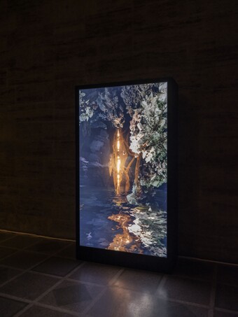 Installationsansicht der Ausstellung The Ephemeral Lake – Eine digitale Installation von Jakob Kudsk Steensen, 12. April bis 27. Oktober 2024, Hamburger Kunsthalle © Courtesy the artist © Hamburger Kunsthalle, Foto: Christoph Irrgang Installationsansicht der Ausstellung The Ephemeral Lake – Eine digitale Installation von Jakob Kudsk Steensen, 12. April bis 27. Oktober 2024, Hamburger Kunsthalle © Courtesy the artist © Hamburger Kunsthalle, Foto: Christoph Irrgang