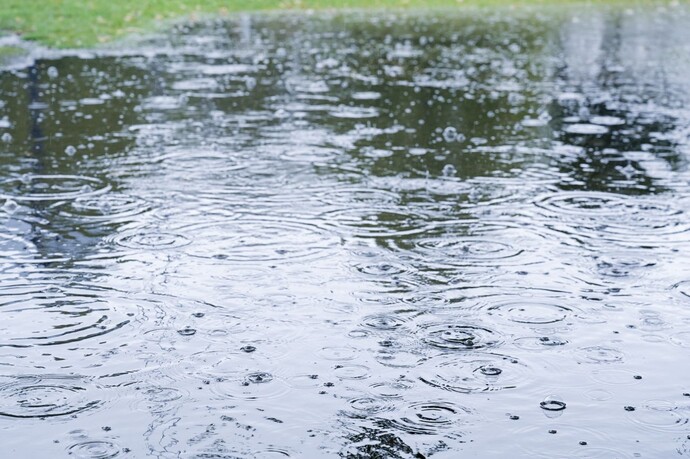 Leben mit Wasser © Hamburg Wasser, Foto: Jörg Böthling