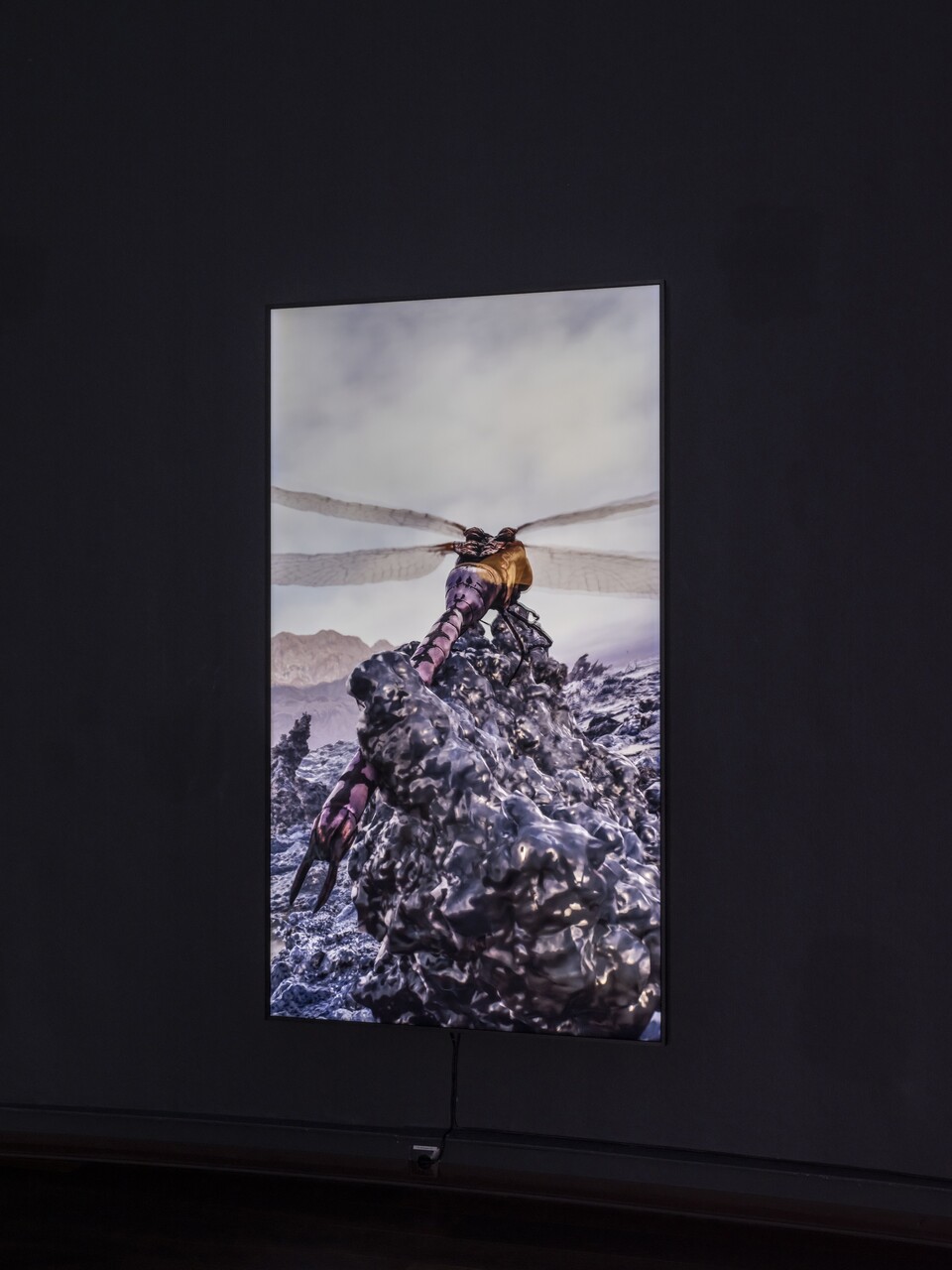 Installationsansicht der Ausstellung The Ephemeral Lake – Eine digitale Installation von Jakob Kudsk Steensen, 12. April bis 27. Oktober 2024, Hamburger Kunsthalle  © Courtesy the artist  © Hamburger Kunsthalle,  Foto: Christoph Irrgang