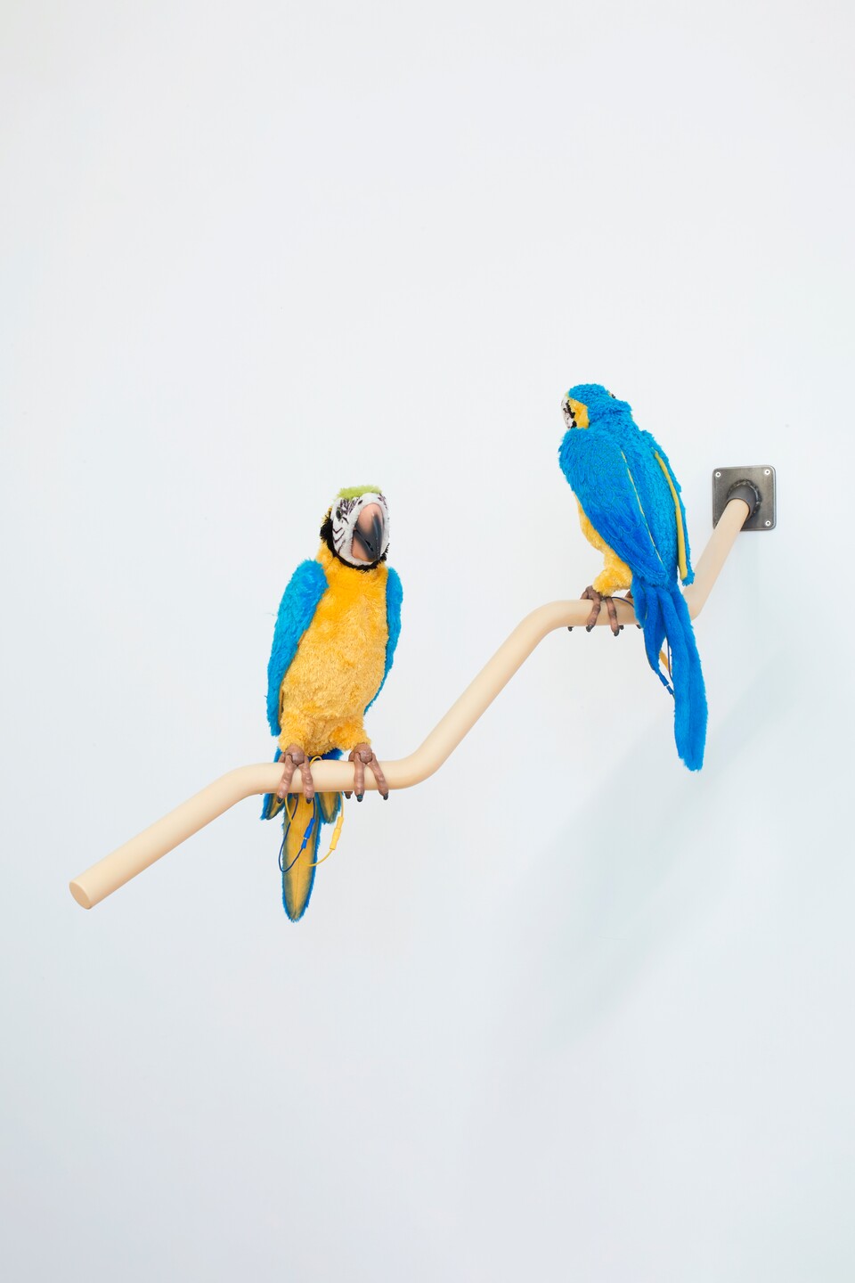 Gerrit Frohne-Brinkmann, Dirty Parrots, 2022, Hamburger Kunsthalle, Fonds für Junge Kunst der Stiftung Hamburger Kunstsammlungen, erworben 2022